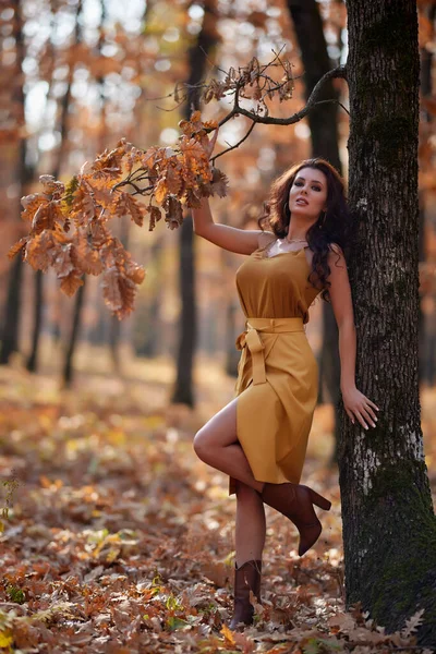Portrait Une Belle Femme Aux Cheveux Longs Dans Forêt Automne — Photo