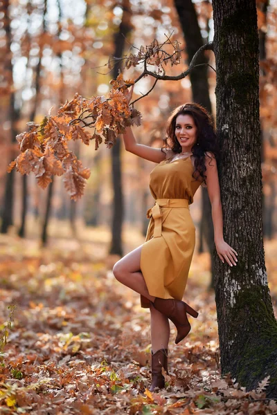 Porträt Einer Schönen Frau Mit Langen Haaren Herbst Wald — Stockfoto