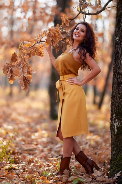 Retrato Una Hermosa Mujer Con Pelo Largo Bosque Durante Otoño — Foto de Stock
