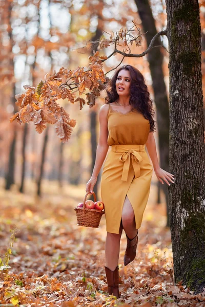 Hermosa Mujer Con Pelo Largo Bosque Con Una Cesta Manzanas — Foto de Stock
