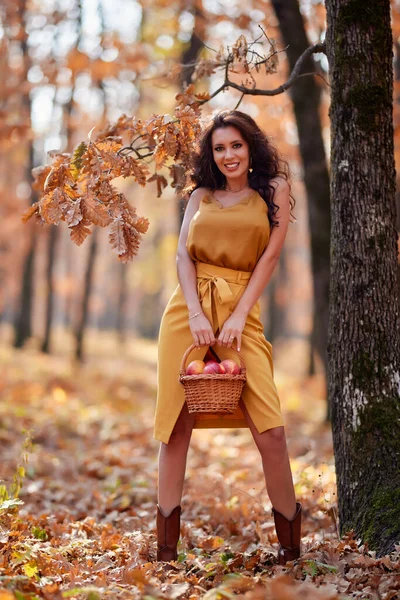 Mooie Vrouw Met Lang Haar Het Bos Met Een Mand — Stockfoto