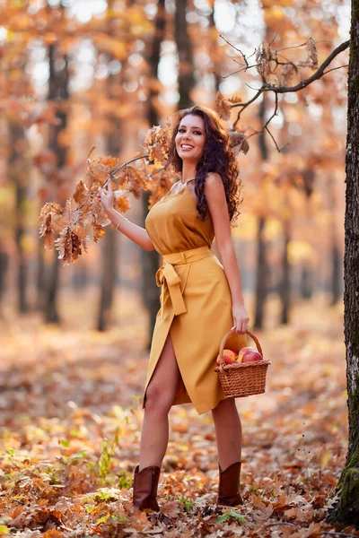 秋天的时候 一位美丽的女人带着一篮苹果在森林里长发 — 图库照片
