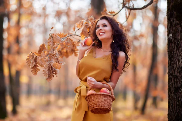 Hermosa Mujer Con Pelo Largo Bosque Con Una Cesta Manzanas — Foto de Stock