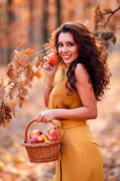 Beautiful Woman Long Hair Forest Basket Apples Autumn — Stock Photo, Image
