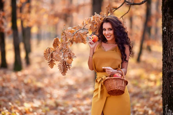 Schöne Frau Mit Langen Haaren Wald Mit Einem Korb Voller — Stockfoto