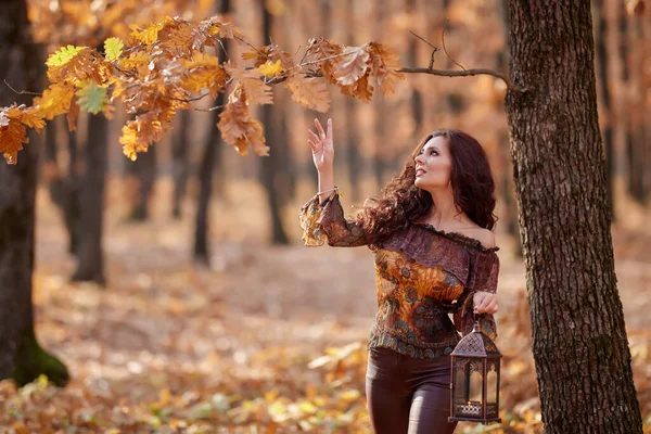 Wanita Cantik Hutan Pada Hari Musim Gugur Dengan Lampu Tangannya — Stok Foto