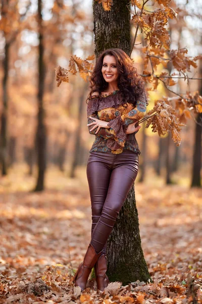 Porträt Einer Schönen Frau Wald Einem Sonnigen Herbsttag — Stockfoto