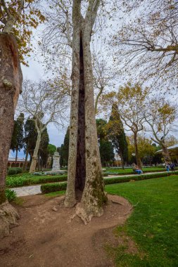 İstanbul, Türkiye, 28 Kasım 2022. Topkapı Sarayı & Harem, Plat, Binalar ve Müzeler içinden görüntüler.