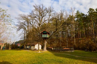 Büyük bir ağaçtaki ahşap ev.