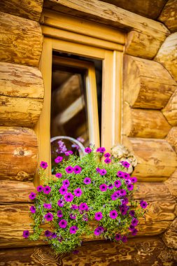 Ahşap bir kulübenin penceresinde çiçek resmi