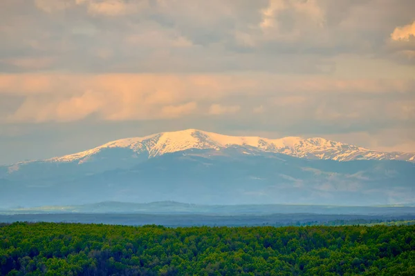 Paisaje Con Montaña Cubierta Nieve Bosque Verde Frente — Foto de Stock