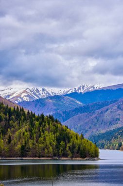 Romanya 'nın Karpat dağlarında bir göl ve dağ manzarası
