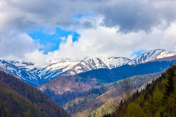 Landschaft Mit Einem Berg Den Karpaten Rumäniens — Stockfoto