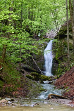 Baharda bir dağ şelalesi olan manzara