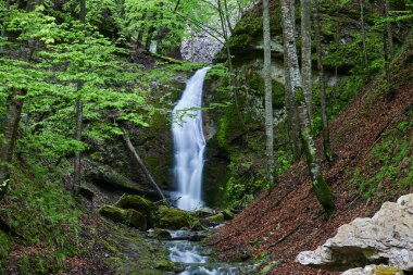 Baharda bir dağ şelalesi olan manzara