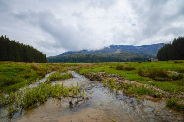 Bulutlu bir bahar gününde bitkilerle kaplı dağ manzarası