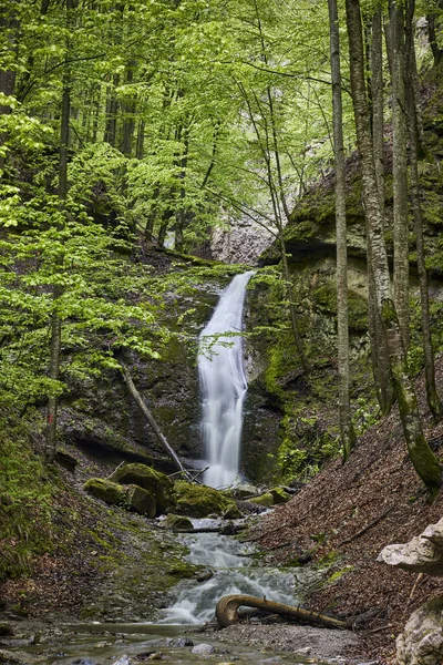 春天有瀑布的山水景观 — 图库照片