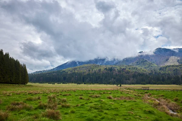 雲の多い春の日に植生のある山の風景 — ストック写真