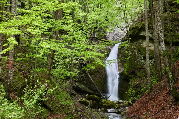 Krajobraz Górskim Wodospadem Wiosną — Zdjęcie stockowe