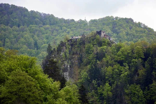 中世の要塞と風景 Poienari Draculaの有名な要塞 — ストック写真