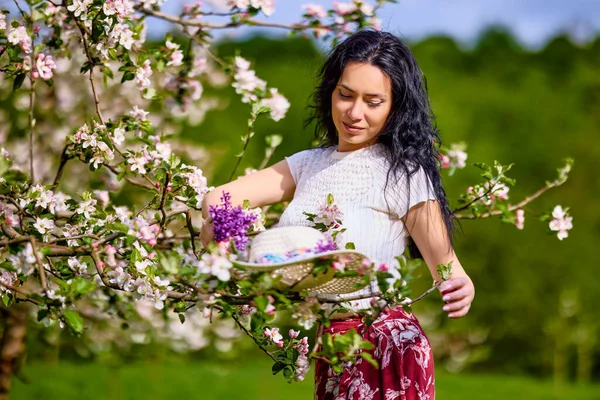 Портрет Красивої Брюнетки Квітучому Яблучному Саду — стокове фото