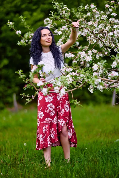 Porträt Einer Schönen Brünetten Frau Einem Blühenden Apfelgarten — Stockfoto