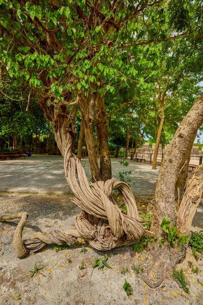 Pattaya Tailandia Mayo 023 Imágenes Exteriores Con Santuario Verdad —  Fotos de Stock