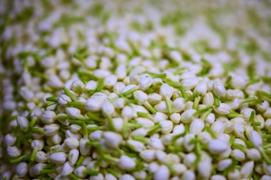 Bangkok Tayland 23 Mayıs 2023. Bangkok 'taki bir çiçek pazarından resimler.