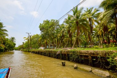 Damnoen Saduak - Tayland 23 Mayıs 2023. Damnoen Saduak 'ın kanallarında Tekne ile yüzen pazar.