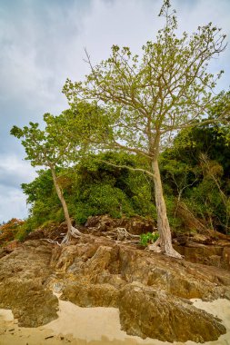 Tayland 'ın Phuke adalarının güzel manzarası, seyahat için manzara.