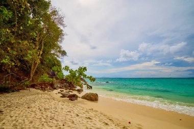 Tayland 'ın Phuke adalarının güzel manzarası, seyahat için manzara.