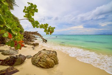 Tayland 'ın Phuke adalarının güzel manzarası, seyahat için manzara.