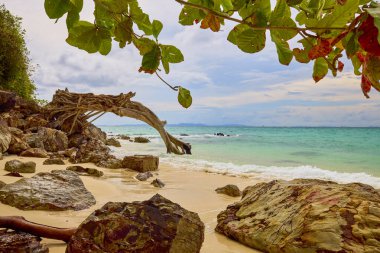 Tayland 'ın Phuke adalarının güzel manzarası, seyahat için manzara.