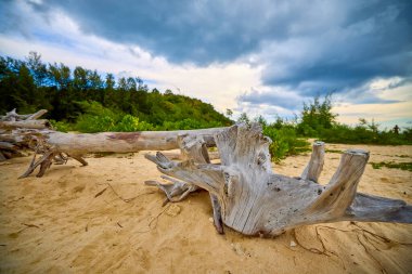 Tayland 'ın Phuke adalarının güzel manzarası, seyahat için manzara.