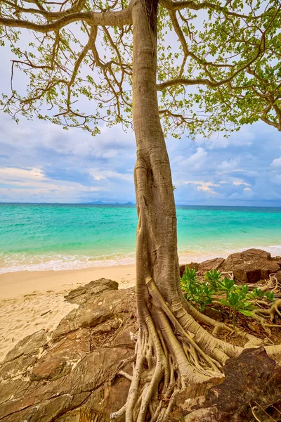 プーケットのタイの島々の美しい景色 旅行のための風景 — ストック写真