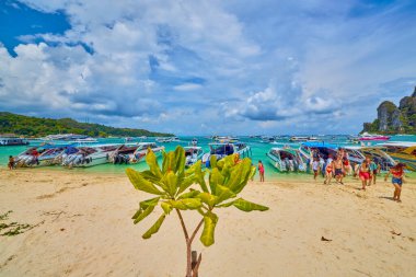 Phuket Tayland 26 Mayıs 2023. Phi Phi Adaları Tur Resimleri, Seyahat Manzarası.