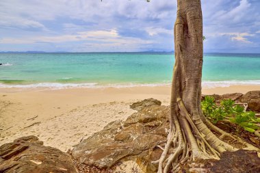 Phuket Tayland 26 Mayıs 2023. Phi Phi Adaları Tur Resimleri, Seyahat Manzarası.