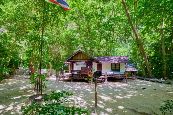 Phuket Thailand Травня 2023 Phi Phi Islands Tour Pictures Travel — стокове фото