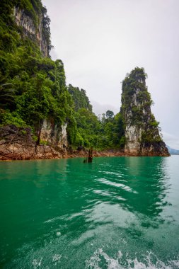 Tayland 'dan manzara, Khao Sok Ulusal Parkı, yağmurlu bir günde.