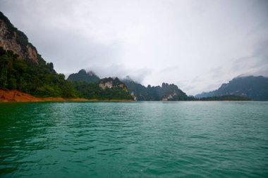 Tayland 'dan manzara, Khao Sok Ulusal Parkı, yağmurlu bir günde.