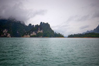 Tayland 'dan manzara, Khao Sok Ulusal Parkı, yağmurlu bir günde.