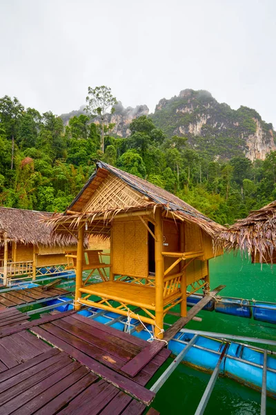Khao Sok Thailand Maj 2023 Khao Sok Nationalpark Regnig Dag — Stockfoto