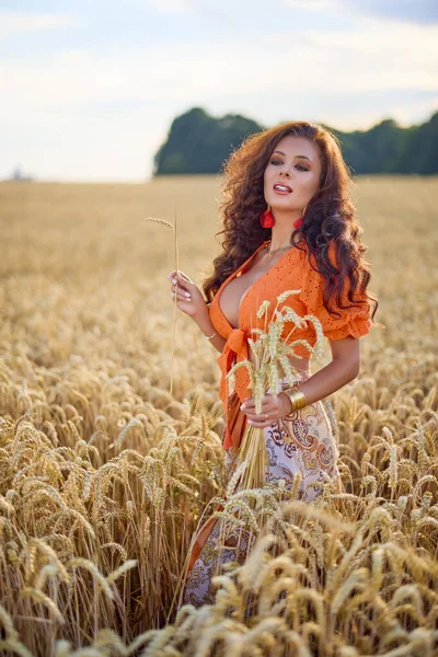 Buğday Tarlasında Poz Veren Uzun Saçlı Güzel Bir Kadın Kavramsal — Stok fotoğraf
