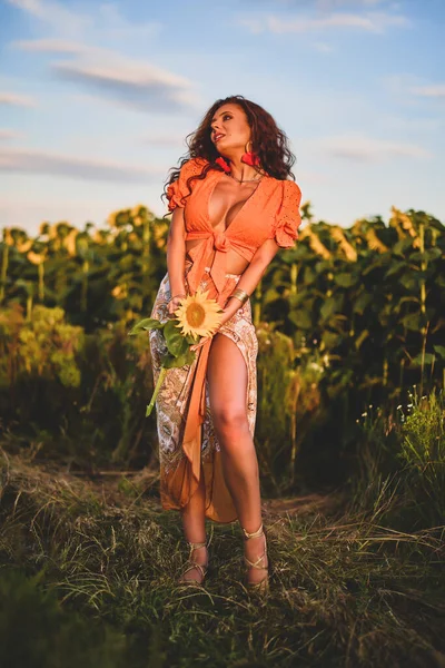 stock image portrait of a beautiful woman near a field of sunflowers on a sunny day at sunset.