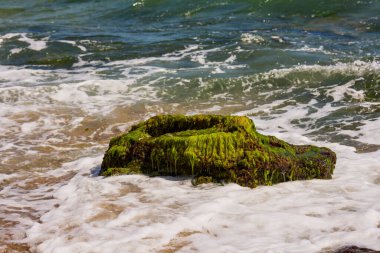 Bulgaristan 'da Karadeniz kıyısı manzaralı bir yaz günü.