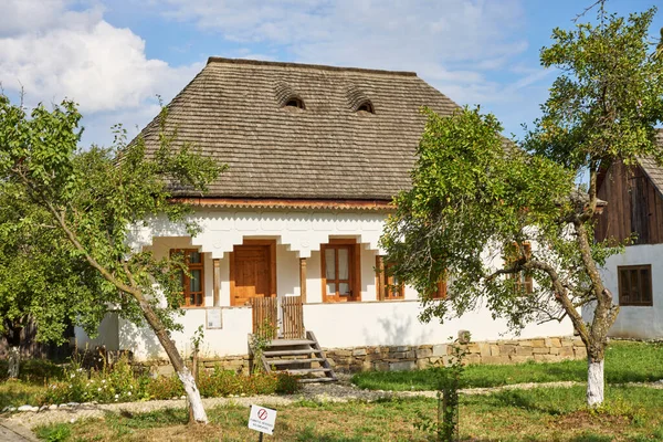 Golesti Arges Roemenië September 2023 Dorp Museum Roemenië Oude Huizen — Stockfoto