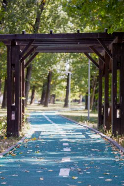 Parktaki bisiklet yolunun resmi.