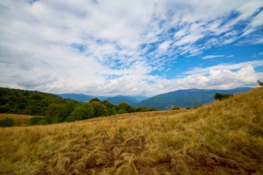 Romanya 'nın Karpat Dağları' nda Eylül ayında güzel bir dağ manzarası.