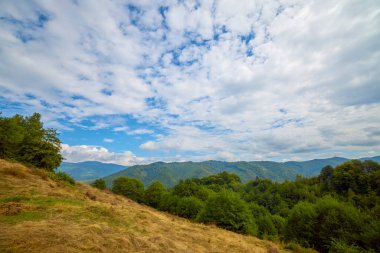 Romanya 'nın Karpat Dağları' nda Eylül ayında güzel bir dağ manzarası.