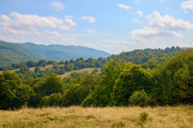 Romanya 'nın Karpat Dağları' nda Eylül ayında güzel bir dağ manzarası.
